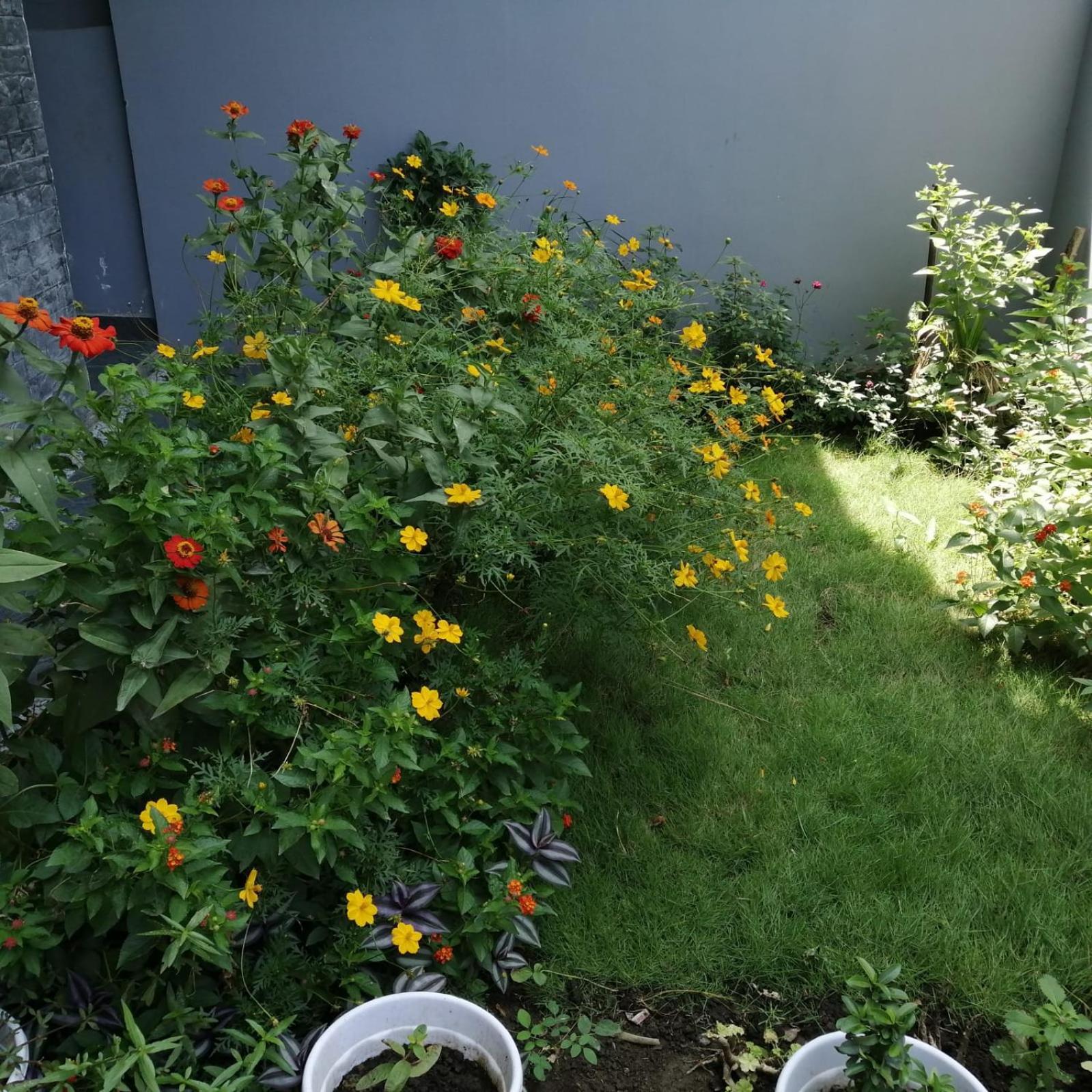 Aashiyana Home Stay Bhópál Exteriér fotografie